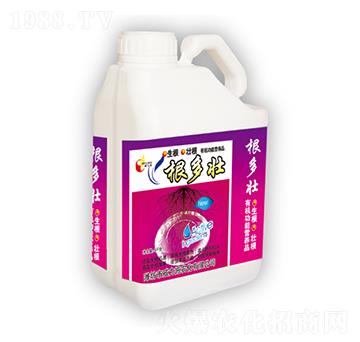 ������-����ʩ