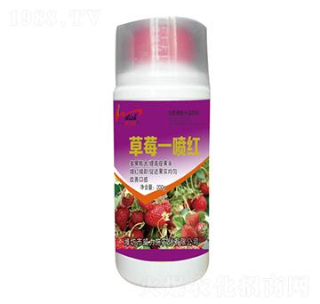 ��ݮһ���t-����ʩ