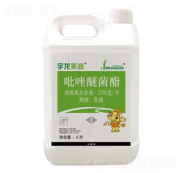 250��ÿ�������Ѿ���