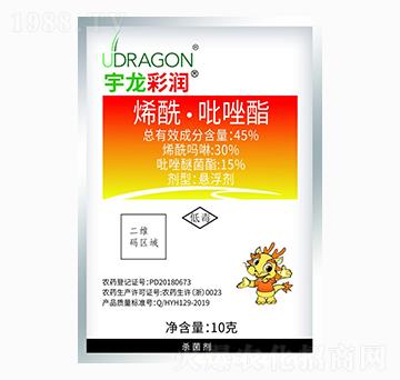 10gϩ����������-��