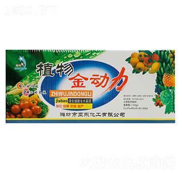 ֲ�����(d��ng)��-��?w��n)|����