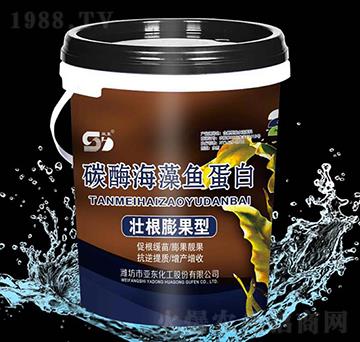 �Ѹ������-̼ø�����~(y��)