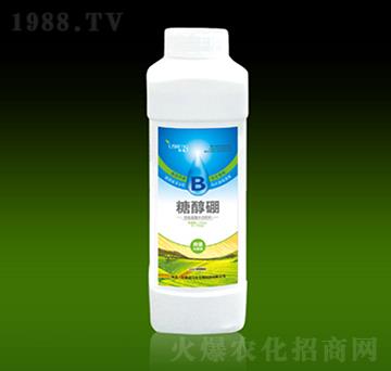 �Ǵ���-��������