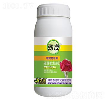 �^(gu��n)�p����(zhu��n)��-��ѿ�l(f��)֦��