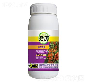 �𻨌�(zhu��n)�àI(y��ng)�B(y��ng)Һ-̩�_(d��)�r(n��ng)