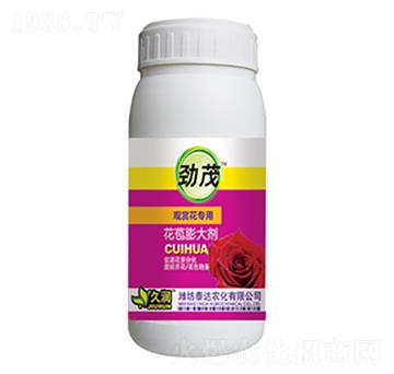 �^(gu��n)�p����(zhu��n)��-�������