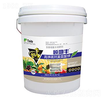 ��⛸��}�S�����-�