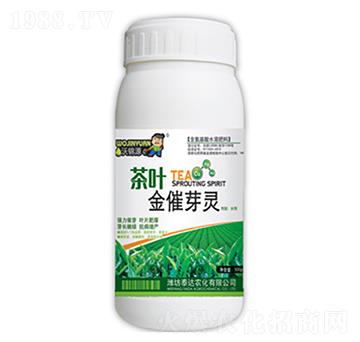 ���~���ѿ�`-̩�_(d��)�r(n��ng)��