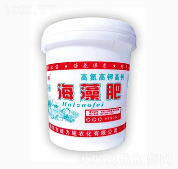 �����Ͱ�b���ߵ���⛸�