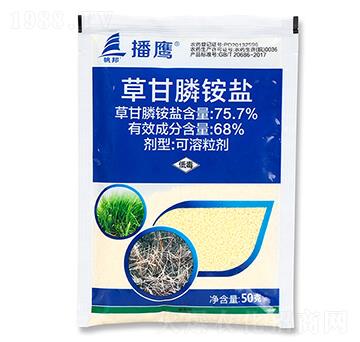 50�˲ݸ���@�}-����