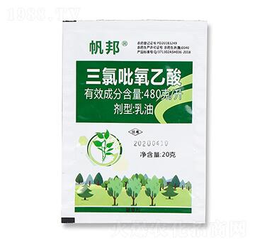 480��ÿ������������