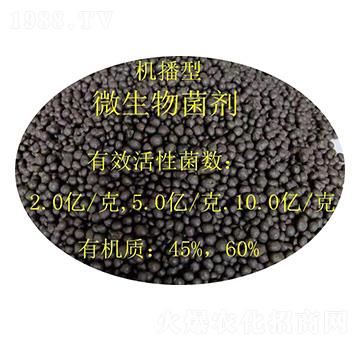 �C(j��)����΢�������-�𝙰l(f��)����