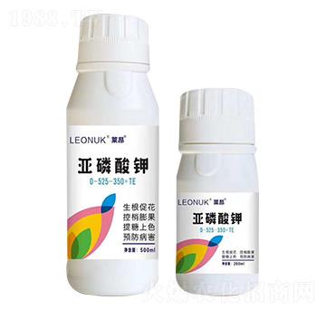 �������0-525-350+TE-�R�����W