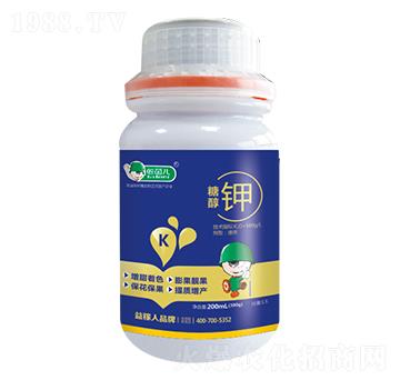 �Ǵ��-������-�����