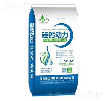 ���}���� �֮������