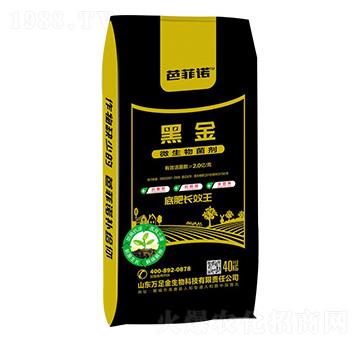 ΢������� �ڽ� �f�������