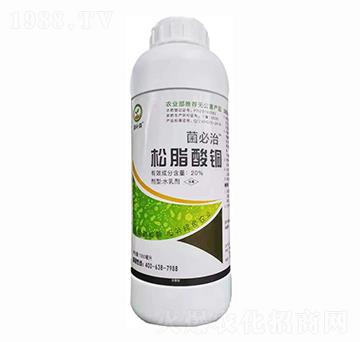 20%��֬���~ ������ ���a(b��)ɭ