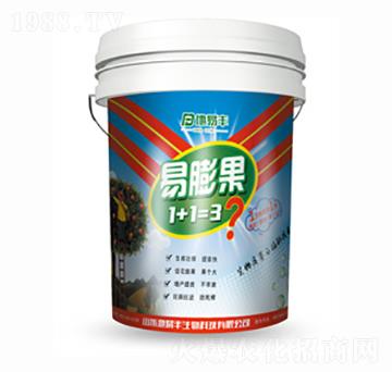 ����� �����S