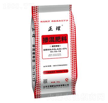 ������͓������19-19-19 �����ʘI(y��)