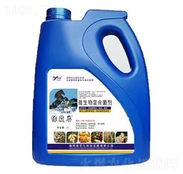 ΢����ͺϾ��� �G�E�R��Ͱ�� ����