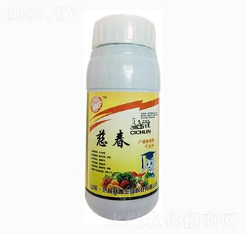 �V�V���~���-�ȴ�