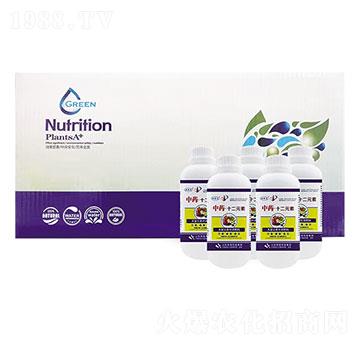 ��ˎ ��ʮ��Ԫ��-�W�����F