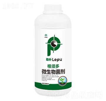 ΢�������-��횶�-���՘�