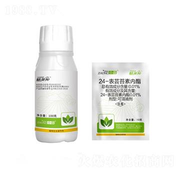 24-���|̦�؃��� �W���� ��ӯ