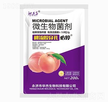 �����z���ױ�ͣ-�A������