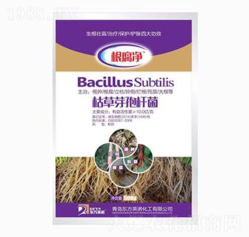 �ݲ�ѿ�ߗU��-������-�_��(y��u)�r(n��ng)�I(y��)