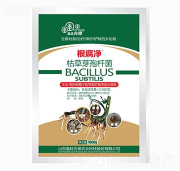 1000g�ݲ�ѿ�ߗU��-������-�_��(y��u)�r(n��ng)�I(y��)