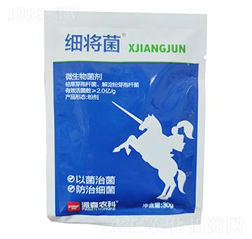 ΢�������-������-��ɭ�r(n��ng)��