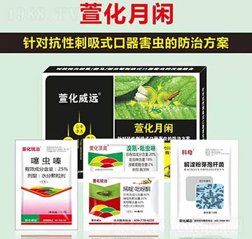 �滯���e-�滯���h