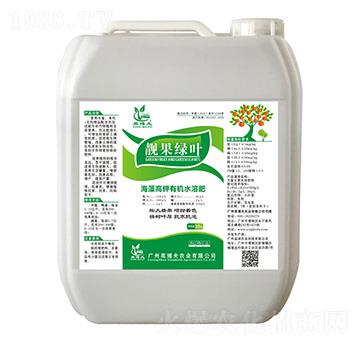 �n���G�~ Ӣ����