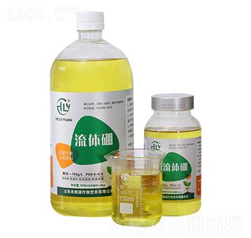 ���w��-�̾GԴ