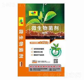 �ۄ�΢�������-�p������