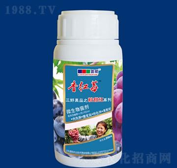 ΢�������-��tݮ��-�{��r(n��ng)�I(y��)