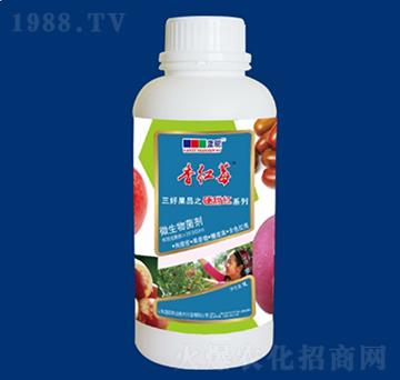 ΢�������-Ӳ��t����-��tݮ