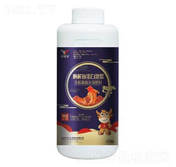 ø���~(y��)�����۝{-܎�@ţ