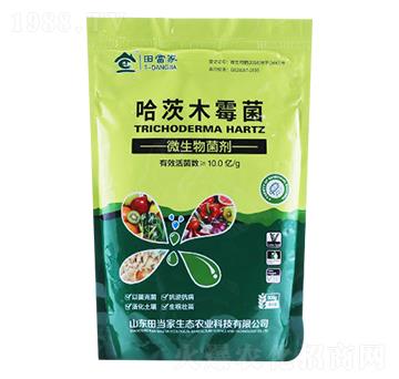 ����ľù��-�ﮔ(d��ng)��