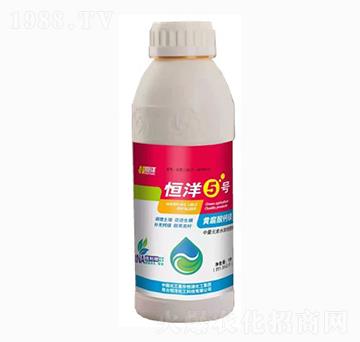 ����5̖-���󻯹�