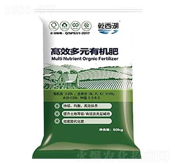 ��Ч��Ԫ�ЙC��-ʥ������