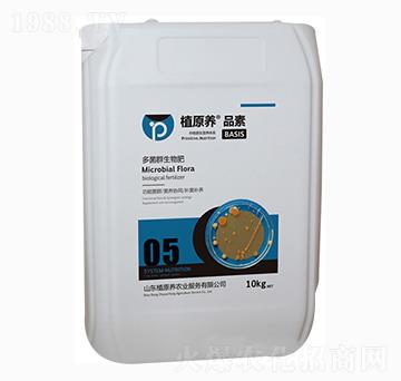 ���Ⱥ�����-ֲԭ�B(y��ng)�r(n��ng)�I(y��)