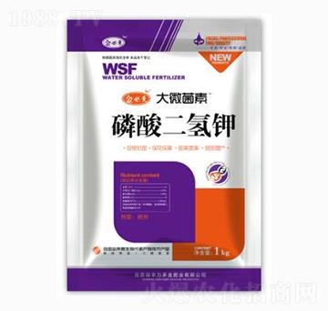 ��������-��΢����-