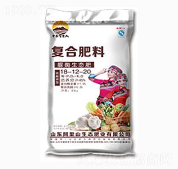 ��(f��)�Ϸ���18-12-20-����ɽ