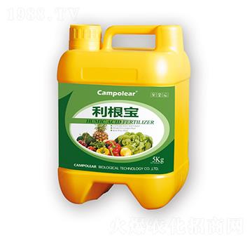 ������-��������