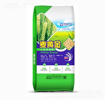 С�������-�Ƽ�֮��-��(r��n)��