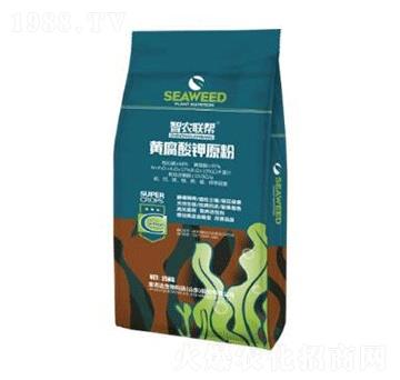 �S�����ԭ��-���_