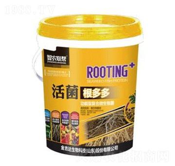 ��������-���_(d��)