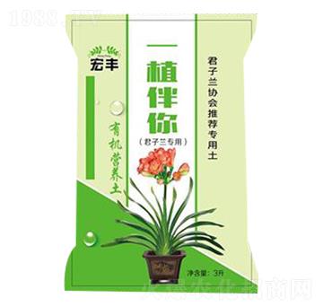 �����m��(zhu��n)�ü�ͥ�@ˇ�ЙC(j��)�I(y��ng)�B(y��ng)��-һֲ����-���S